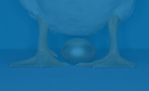 Goose laying golden nest egg - financial independence concept
