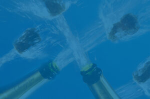 Happy New Year from Illumination Wealth